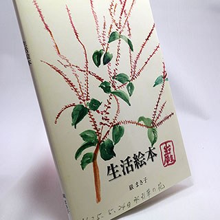 生活絵本の実物写真